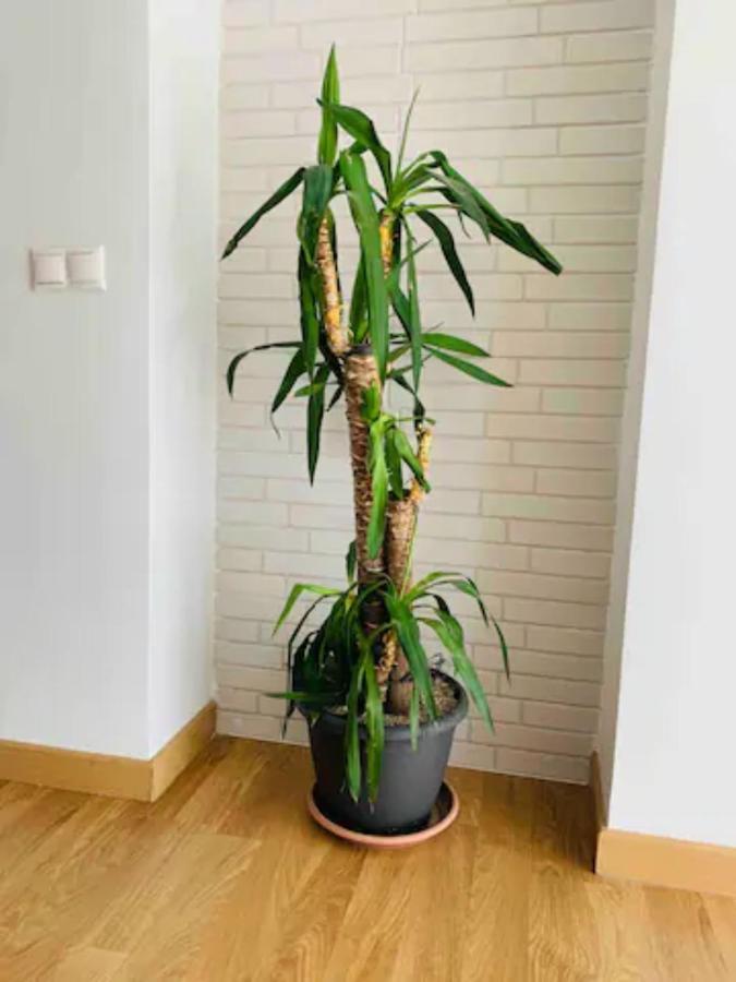 Puerto Banus Apartment Marbella Luaran gambar