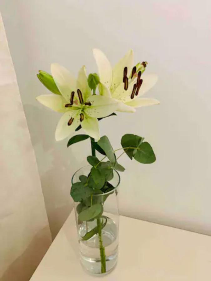 Puerto Banus Apartment Marbella Luaran gambar